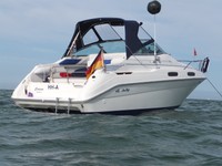 Motorboot mit Trailer Sea Ray 230 DA Kajutboot / Mercruiser 4,3 MPI