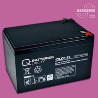 Blei AGM Akku Batterie 12V 13Ah Elektromotor Außenborder Sevylor SBM18 12V/180W