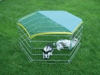 Kaninchen Hasen Freigehege Kaninchenstall Hasenstall Freilaufgehege