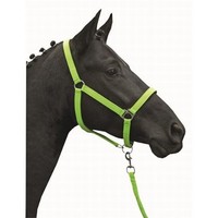 HKM Halfter Stars Economy Softice Neon Grün Warmblut NEU