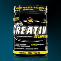 All Stars Creatin Monohydrat (38,65€/kg) 600g Dose + Bonus