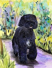 Ss8264Gf Portuguese Water Dog Flag Small Multicolor Outdoor Flag