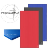 RehaMat Gymnastikmatte 200 x 100 x 2,5 cm / Fitnessmatte / Sportmatte Yogamatte