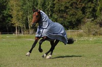 Bucas Buzz-Off Full Neck Fliegendecke/ Ekzemerdecke mit Halsteil - Größe wählbar