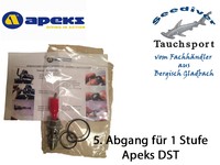 5. Abgang für APEKS DST / AP0274