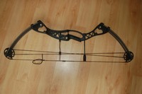 Podium Compound Bogen,  RH / LH bis 60lbs, Neu - noch verpackt !