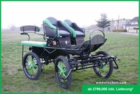 Fahrschulwagen Kutsche Fahrschulwagen Marathonwagen 25" Kutschen schwarz/grun