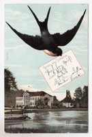 670/AK Bad Doberan Gruss aus Schwalbe