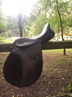 Vielseitigkeitssattel für Haflinger oder ähnlich gebaute Pferde 