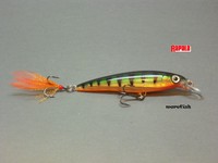 Rapala Wobbler X-RAP 8cm XR-8 - P Perch - neu
