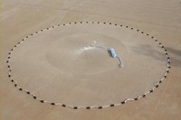 Wurfnetz D-3m, Köder Karpfen Forellen Hecht Fischernetz  Zander Fischernetz 