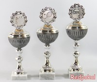 3er Serie Pokale in Silber/Grau 30 - 34 cm inkl. Gravur und Emblem E105