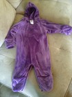 The North Face Purple Bunting