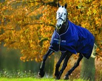 Horseware Amigo Bravo 12 lite navy Weidedecke Outdoordecke