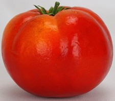 Large Red Tomato Fake Food Faux Vegetable Theater Prop Home Staging