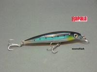 Rapala Wobbler X-RAP 8cm SXR-8 - BSRD Blue Sardine - neu