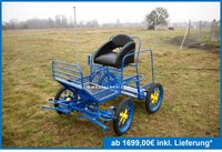 Mini Mix Schetty Kutsche Fahrschulwagen Marathonwagen 16" RAL5005 Kutschen