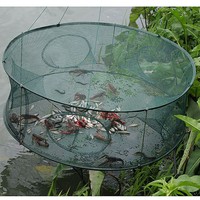 Faltbare Fischnetz- Cast Cage Krabben- Fisch Elritze Crawdad Garnelen Langusten