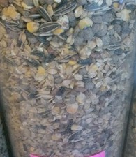 Kaytee Fiesta Mix Rabbit Food Products Small Animal 2 lb Bulk Bag Free Shipping