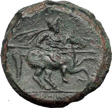 Syracuse in Sicily 240BC King Hieron II Horseman Large Ancient Greek Coin i55487