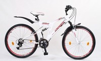 24 Zoll Kinderfahrrad Mountainbike Kinder Fahrrad Rad Bike Jugendfahrrad 18 Gang