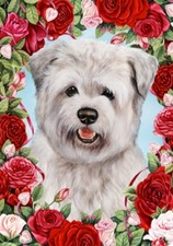 Large Indoor/Outdoor Roses Flag - Blue Glen of Imaal Terrier 19214