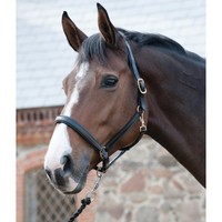 CATAGO Lederhalfter - schwarz - Vollblut Pferdehalfter Halfter für Pferde 