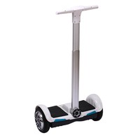 2x350W EEC Elektroscooter m. Straßenzulassung 20kmph Mit Pole Auto Elektroroller