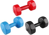 V3Tec 100795 Gymnastikhantel Kurzhantel Gewichttraining Hanteltraining Aerobic