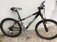 Damen Mountainbike Bulls Rahmen Gr. S