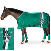 Eskadron Fliegendecke Smaragdgreen, Frühjahr/Sommer 2015, Sonderpreis 