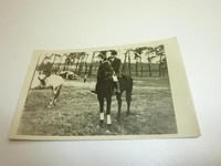 Pferdesport Pferderennen Reitsport Stadion Reittunier um 1935-39 "416"
