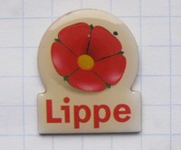 KREIS LIPPE / WAPPEN  / DEUTSCHLAND  .......... Städte&Länder-Pin (266g) 