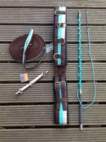 4 teil. Longierset Longiergurt Longe Longiergerte Brille von Impulz Braun Türkis