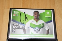 Autogrammkarte Carlos Ascues Vfl Wolfsburg 2015/2016, Neuzugang, Peru
