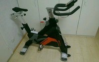 Nordic Trek indoor cycle. 13 Monate alt, mit Garantie
