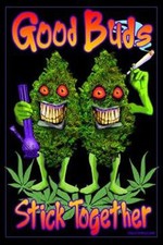 Funny Marijuana Weed Photo Fridge Magnet 2"x3" Collectibles