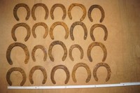 20 alte, rostige Hufeisen, Glücksbringer, Pferd, zum Basteln 10,5 - 16 cm