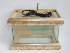 Mini Glass The Visions by California Terrariums