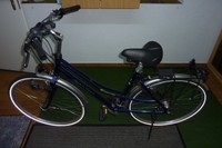 Damen Fahrrad  Giant Gr. 50