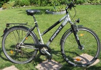 Fahrrad Damenrad Prophete 28 Zoll 21-Gang Kettenschaltung; Nabendynamo