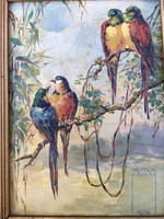 Papagei auf Ast Signiert Freitag 1936