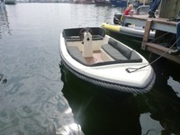 NEU Motorboot Angelboot Sportboot Modell ALFA  475 