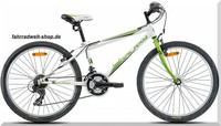 24 Zoll Fahrrad MTB Jungen Mountainbike 18 Gang Jungendfahrrad  Modell ARIES 