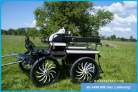 Fahrschulwagen Kutsche Fahrschulwagen Marathonwagen 29" Kutschen mit Radio, Edel