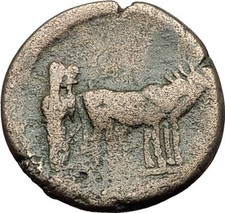 AUGUSTUS 27BC Philippi Macedonia PRIESTS Founding City Oxen Roman Coin i59395