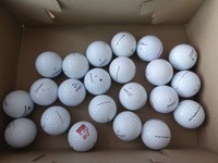 Titleist Pro V1/Pro V1x Lakeballs AAAA 22 Stk. 0022