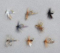 Balzer - Edition Fly - Fliegen / Nymphen / Streamer / Trockenfliege - Sortiment