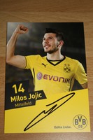 Autogrammkarte Milos Jojic Borussia Dortmund BVB 2013/14 RAR