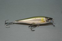 Rapala Wobbler BX-Minnow 10cm BXM10 - Ayu